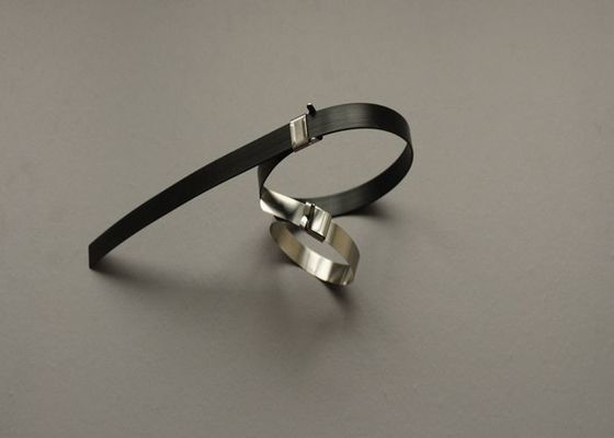 Chine L dactylographient à des liens de fil d'acier inoxydable des enveloppes de lien de 8 pouces avec le verrouillage de boucles d'oreille fournisseur