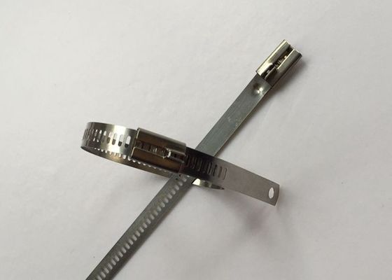 Chine Les serres-câble de style de l'échelle SS304, fermeture éclair de câble d'acier inoxydable attache la largeur de 12mm fournisseur